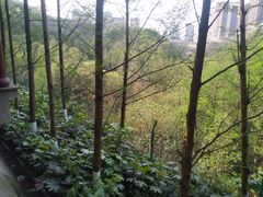 -重庆彩云湖湿地公园