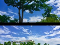 -苏州太湖国家湿地公园