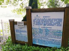 -桂林市榕杉湖景区