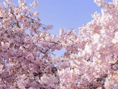 -上海辰山植物园