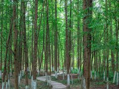 -孔雀湖生态旅游区