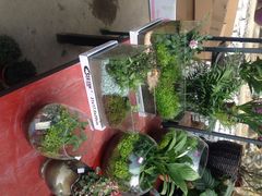 三圣花乡旅游区-三圣花乡旅游区