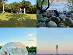 -上海吴淞炮台湾国家湿地公园