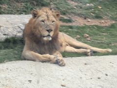 -威海华夏城景区