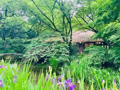 -中国茶叶博物馆(双峰馆区)