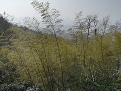 -紫金山天文台