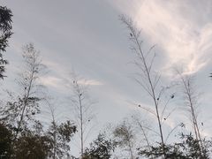 -苏州河梦清园环保主题公园