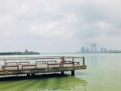 -金鸡湖桃花岛