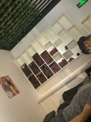 -魔型社