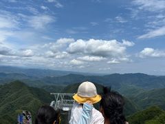 -栾川竹海野生动物园