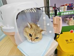 -达爱动物医院·犬猫分区·CT·复杂眼科(远洋山水分院)