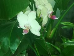 -福州长乐国际机场