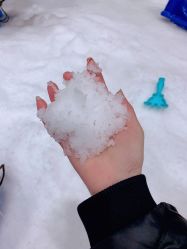 -Mr·Kuma酷么先生雪之乐园
