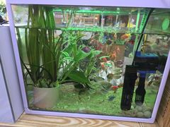 -老姐石板烧烤+铜炭火锅(总店)