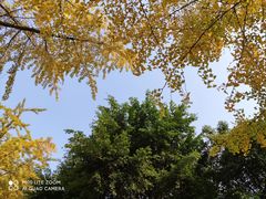 -四川大学(望江校区)