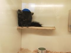 -龙猫仔乐园(惠福东路店)