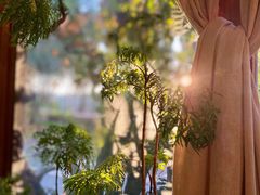 -时光花园(白鹭洲店)