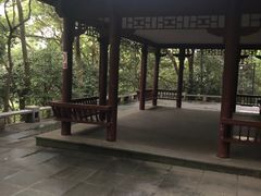 -杭州半山国家森林公园