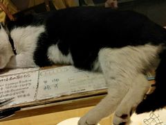 -猫的天空之城概念书店(杭州南宋御街店)