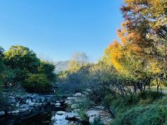 -国家植物园南园