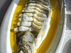 鸡汁大白鱼-食悦江南·淮扬菜·烤鸭(亚运村·惠新店)