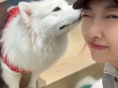 -瑞虹新天地月亮湾