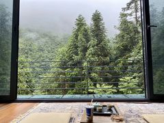 -南山植物园