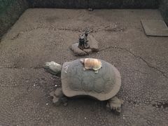 -陶祖圣境风景区