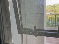 -上海怡沁园度假酒店