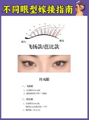 -丽尔美睫