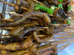 鳝鱼-晓靖轩烧烤(沙河风情店)