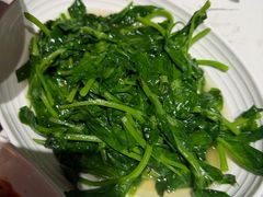 清炒豌豆尖-锦庐道地川菜(来福士店)