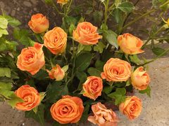 -卯火锅(人和协信店)