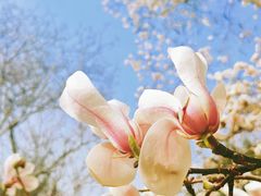 -利群海琴购物广场(商丘路店)