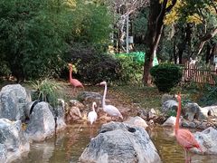 -昆明动物园
