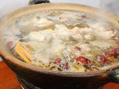 炭炉果鸡煲-威邵鸡煲(西华路总店)