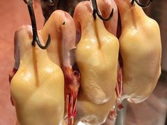 -四季民福烤鸭店(故宫店)