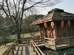 -国际非物质文化遗产博览园