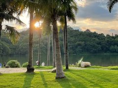 -深圳仙湖植物园