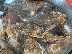 -前王院•巧克力海鲜市集餐厅(万平口店)