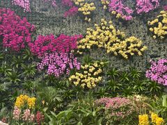 -石家庄市植物园
