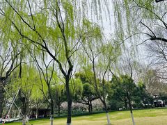 -柳浪闻莺公园