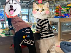 -NOKNOK若蔻亲子餐厅(天地壹方北馆店)