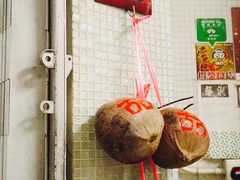 -洪馨椰子