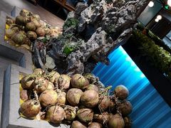 -东椰·海南椰子鸡火锅(朝阳门店)