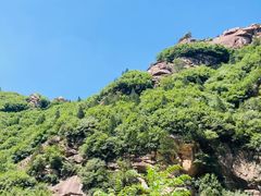 -王顺山国家森林公园