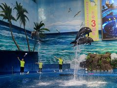 -多彩贵州城极地海洋世界