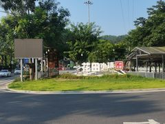 -红山村