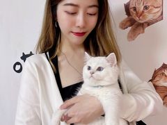 -lincat·猫舍(广州店)