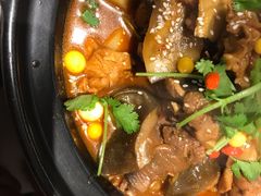 甲鱼锅-洪湘记川湘·甲鱼馆(四海凯悦美食广场店)